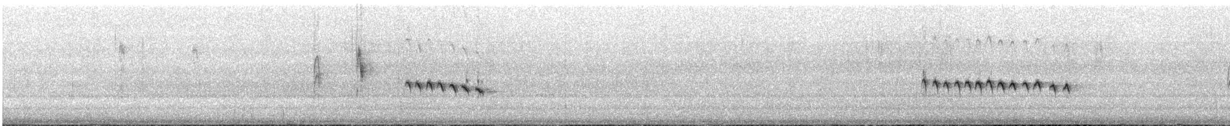 Пестрогрудая шипоклювка - ML533817391