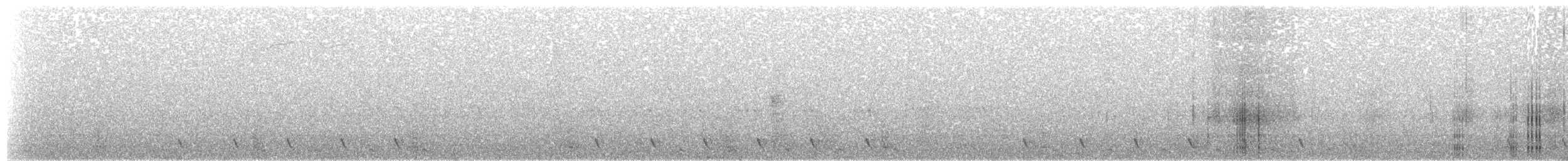 Jungle Nightjar - ML533837621