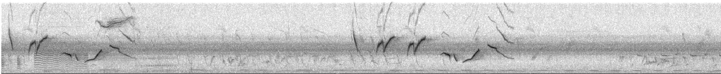 Alzacola de Hartlaub - ML533951141