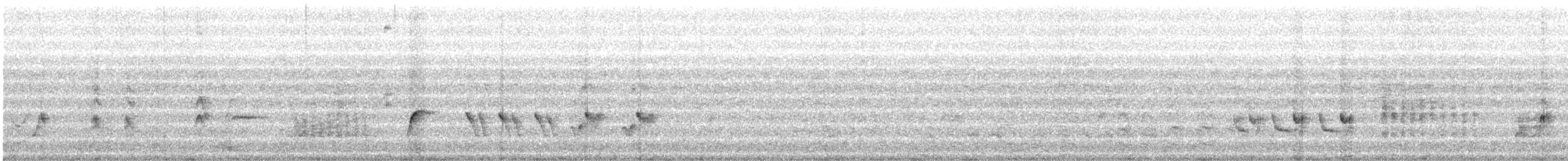 Curve-billed Thrasher - ML533991701