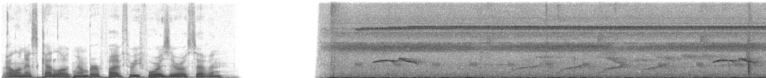 Yellow-crowned Tyrannulet - ML53407