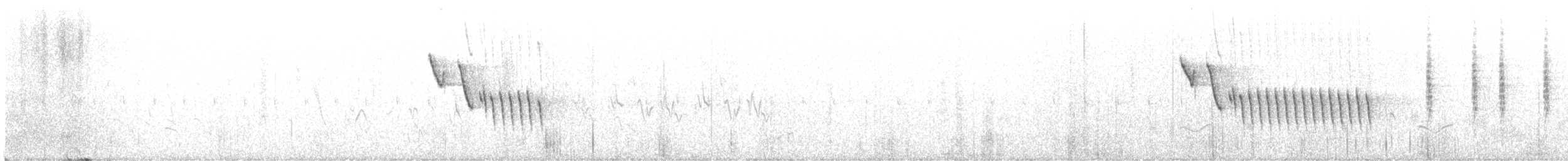 Suimanga Oscuro - ML534075201