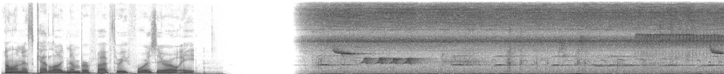 White-breasted Wood-Wren (Black-capped) - ML53408