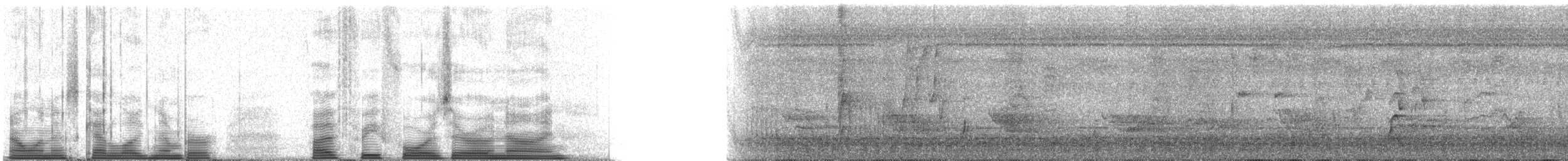 Greater Ani - ML53409