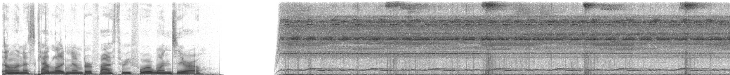 Marbled Wood-Quail - ML53410