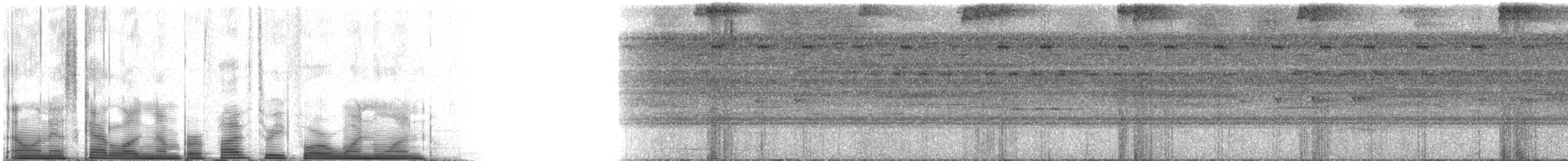 Long-tailed Potoo - ML53411