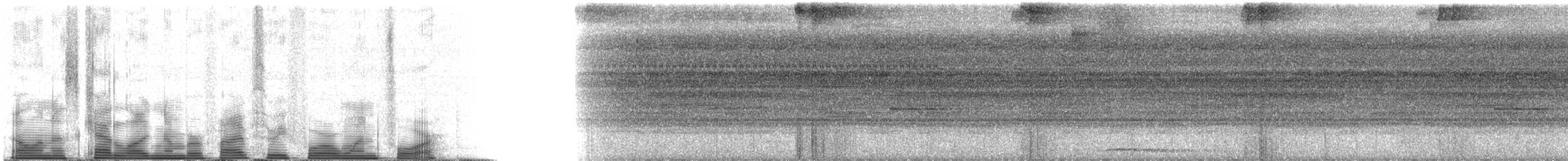 Black-banded Owl - ML53414