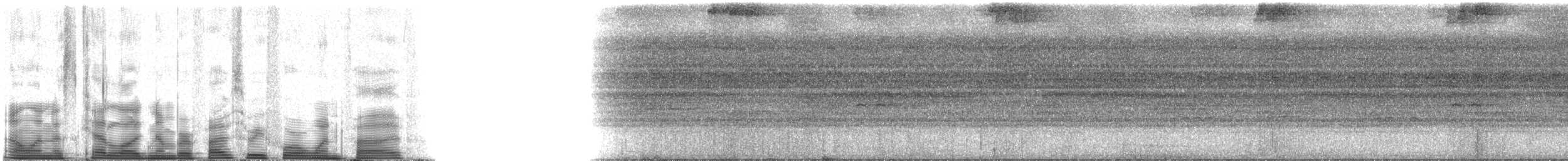 Black-banded Owl - ML53415