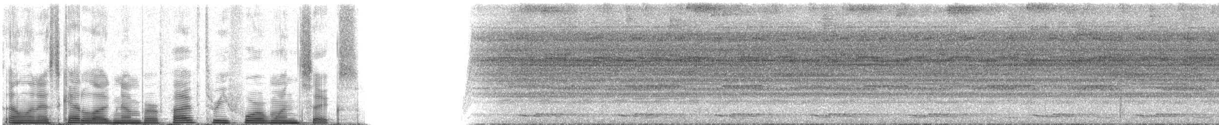 Marbled Wood-Quail - ML53416