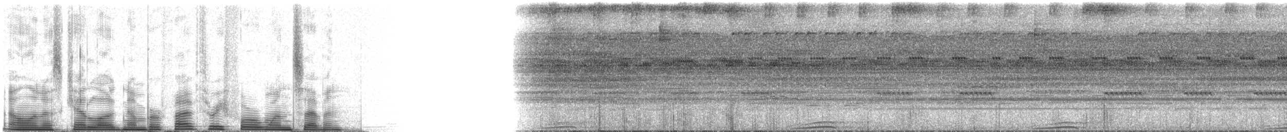 Black-banded Owl - ML53417