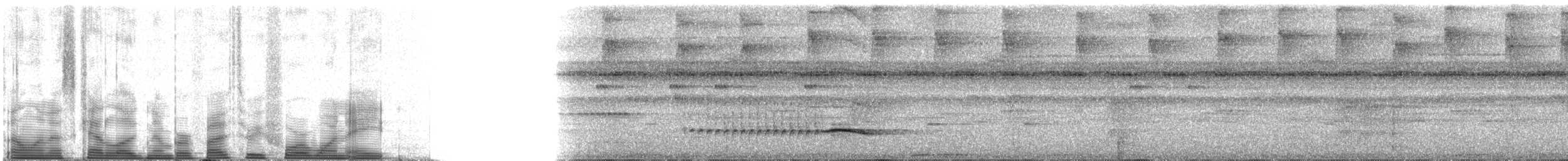 Spot-winged Antshrike - ML53418