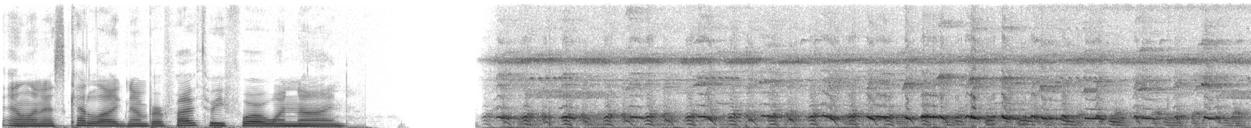 Red-bellied Titi - ML53419