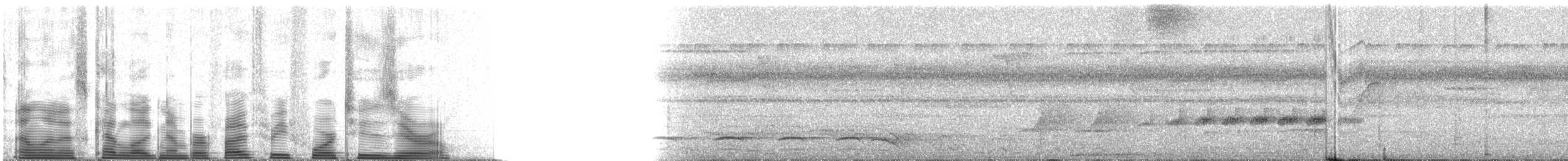 Black-faced Antbird - ML53420