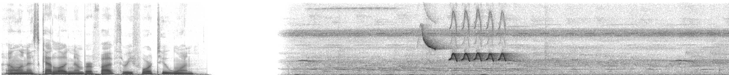 White-breasted Wood-Wren (Black-capped) - ML53421