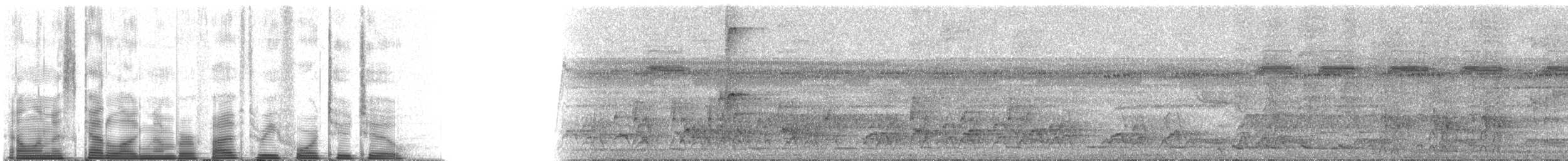 White-fronted Nunbird (White-fronted) - ML53422