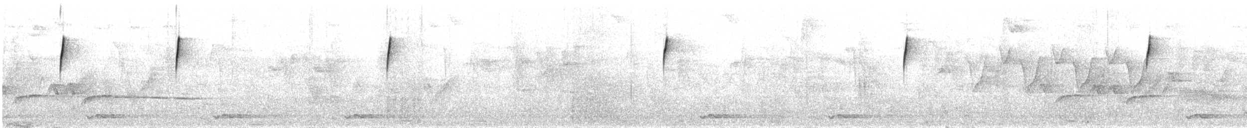 Серогорлая зарничка - ML53422101