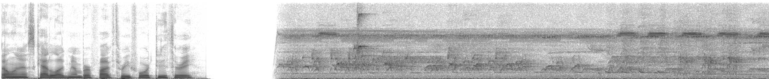 Black-tailed Leaftosser - ML53423