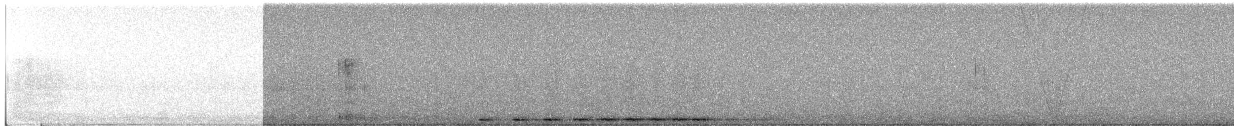 Western Screech-Owl - ML534243551