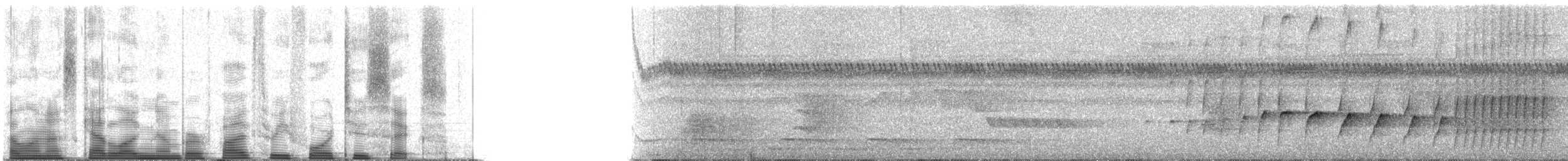 Black-tailed Leaftosser - ML53426