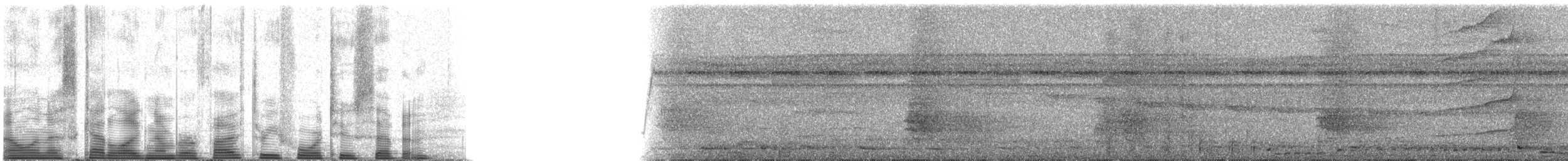 Crested Oropendola - ML53427