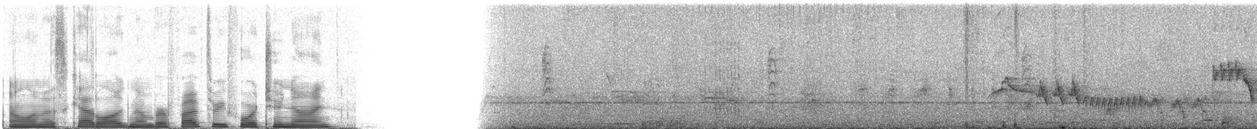 Southern House Wren - ML53429