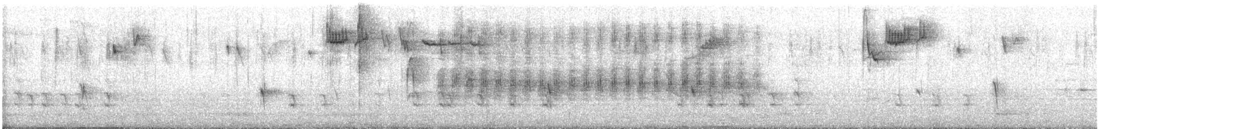 チャバネアカゲラ - ML534300281