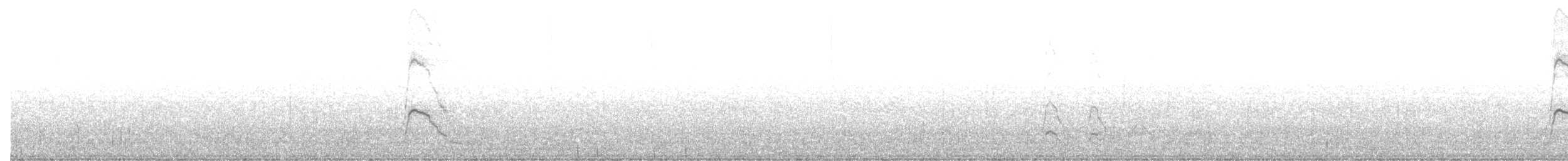 Canard siffleur - ML534314271