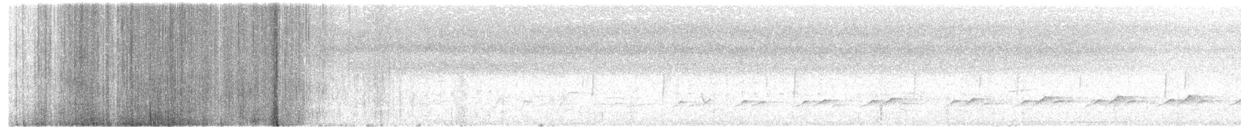 Thicket Tinamou - ML53437151