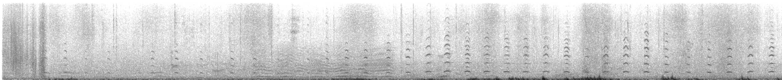 chaluha subantarktická (ssp. lonnbergi) - ML534392311