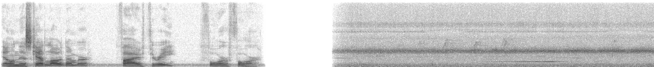 holub angaurský - ML5344