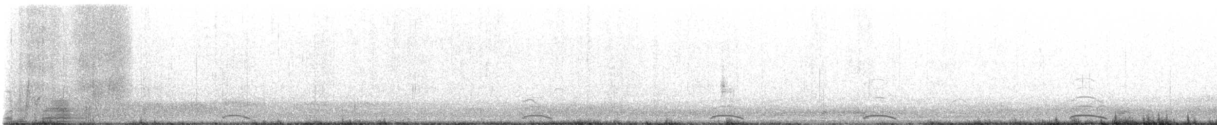 Cygne siffleur - ML534407391