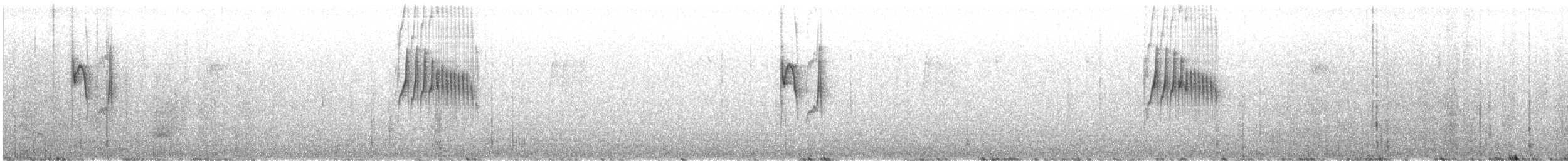 nordmeisetyrann - ML534407621