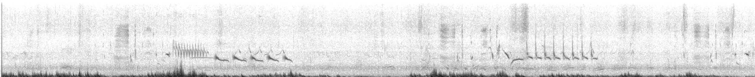Травяной крапивник (hornensis/falklandicus) - ML534437881