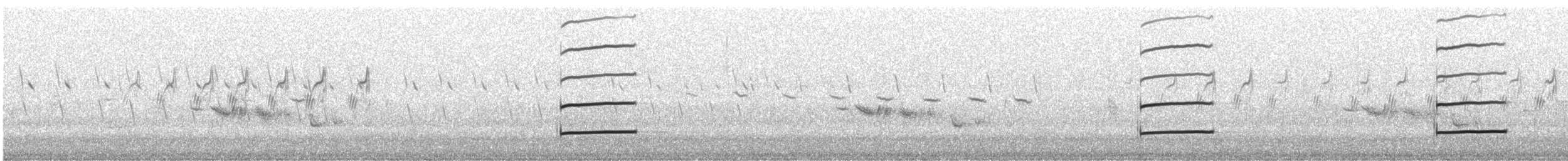 European Golden-Plover - ML534441671
