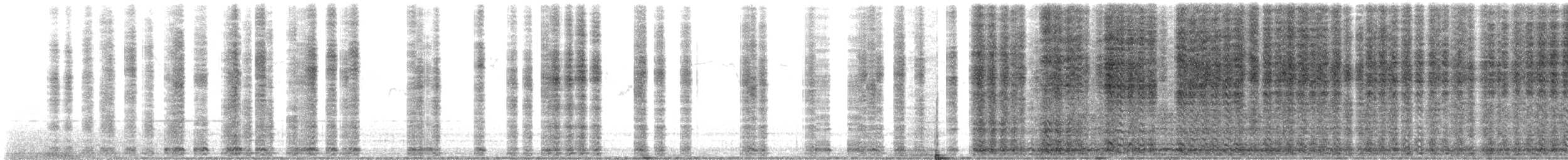 נקר צפון-אמריקני - ML534491