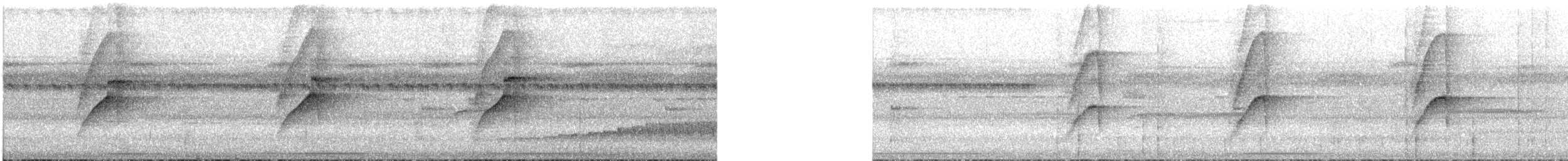 Orange-eyed Flatbill - ML534505141