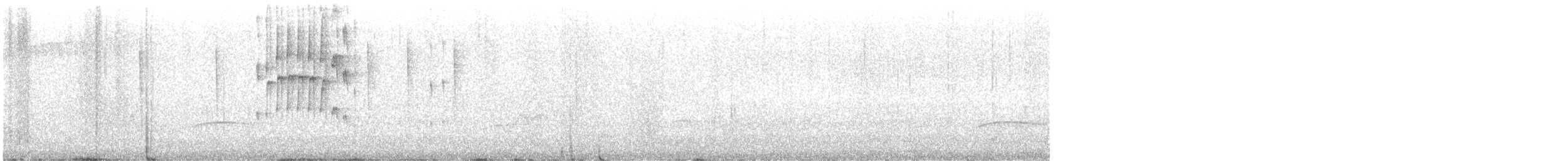 Тиранчик-довгохвіст болівійський - ML534514071