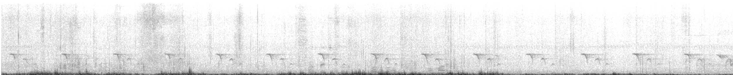 Méliphage marbré - ML534552671