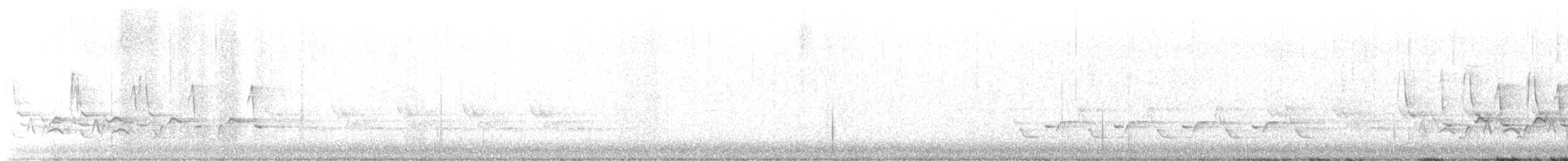 Каролинский крапивник - ML534716131