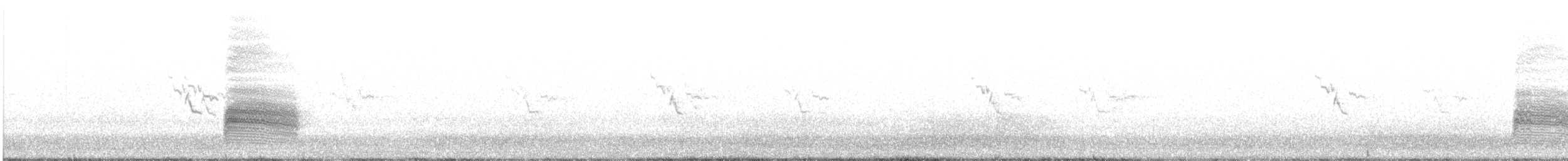 ťuhýk šedý [skupina elegans] - ML534756281