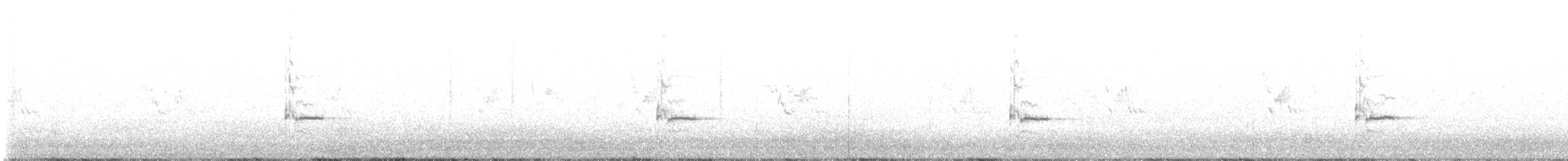 Great Gray Shrike (Sahara) - ML534756291