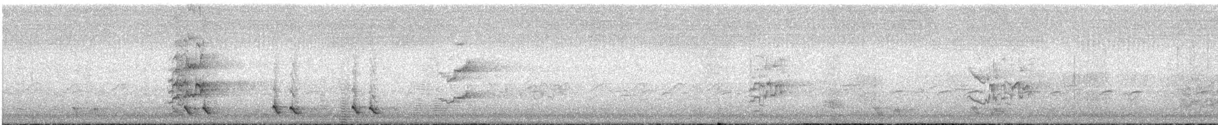 White-eared Honeyeater - ML534760611