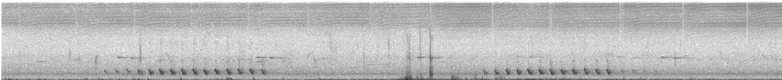 Méliphage leucotique - ML534760621