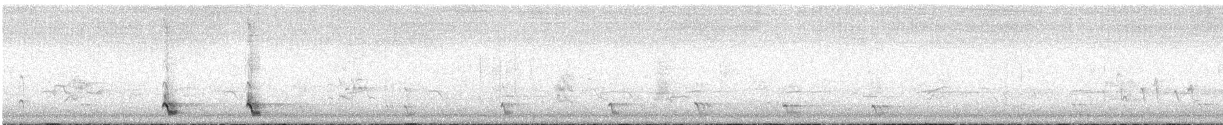 White-eared Honeyeater - ML534760641