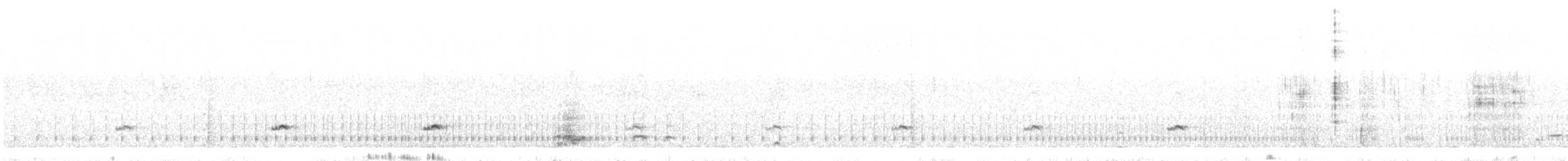 Weißkopf-Ruderente - ML534766531