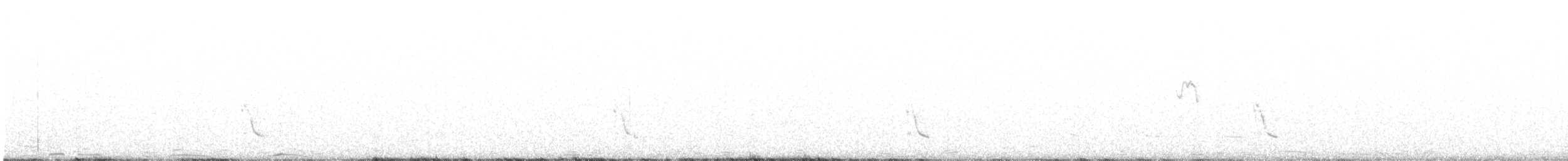 passerine sp. - ML534768941