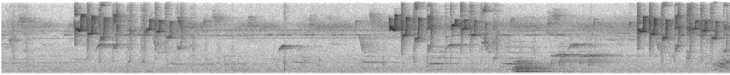Бронзовый колибри-отшельник - ML534776871