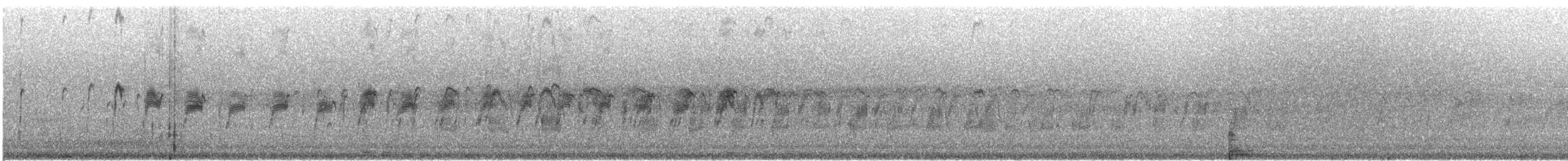 hvitnakkeseiler - ML534800001