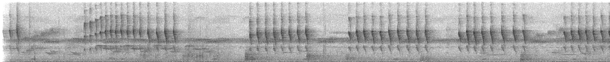 Nektarvogel, unbestimmt - ML534806