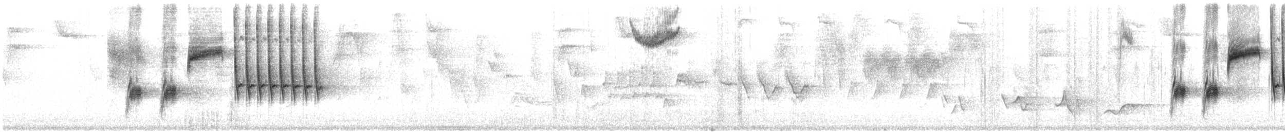 雑種 ホシワキアカトウヒチョウ ｘ クロオビトウヒチョウ - ML534810371